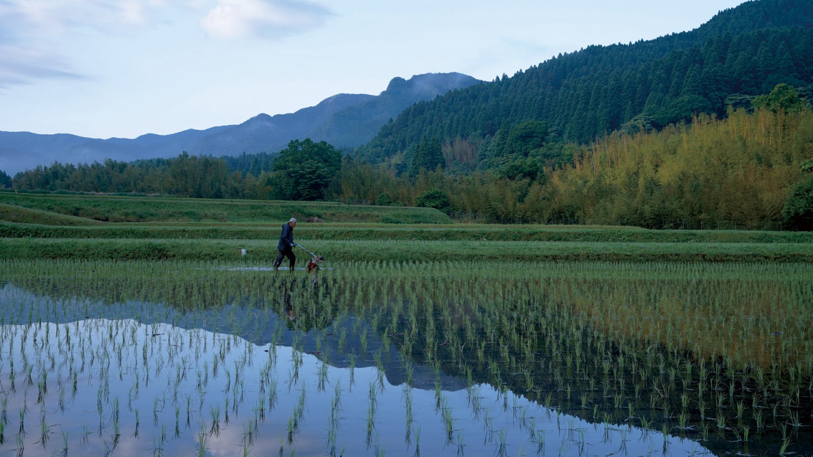 【完売しました】令和7年度産 緒方孝行さんのお米