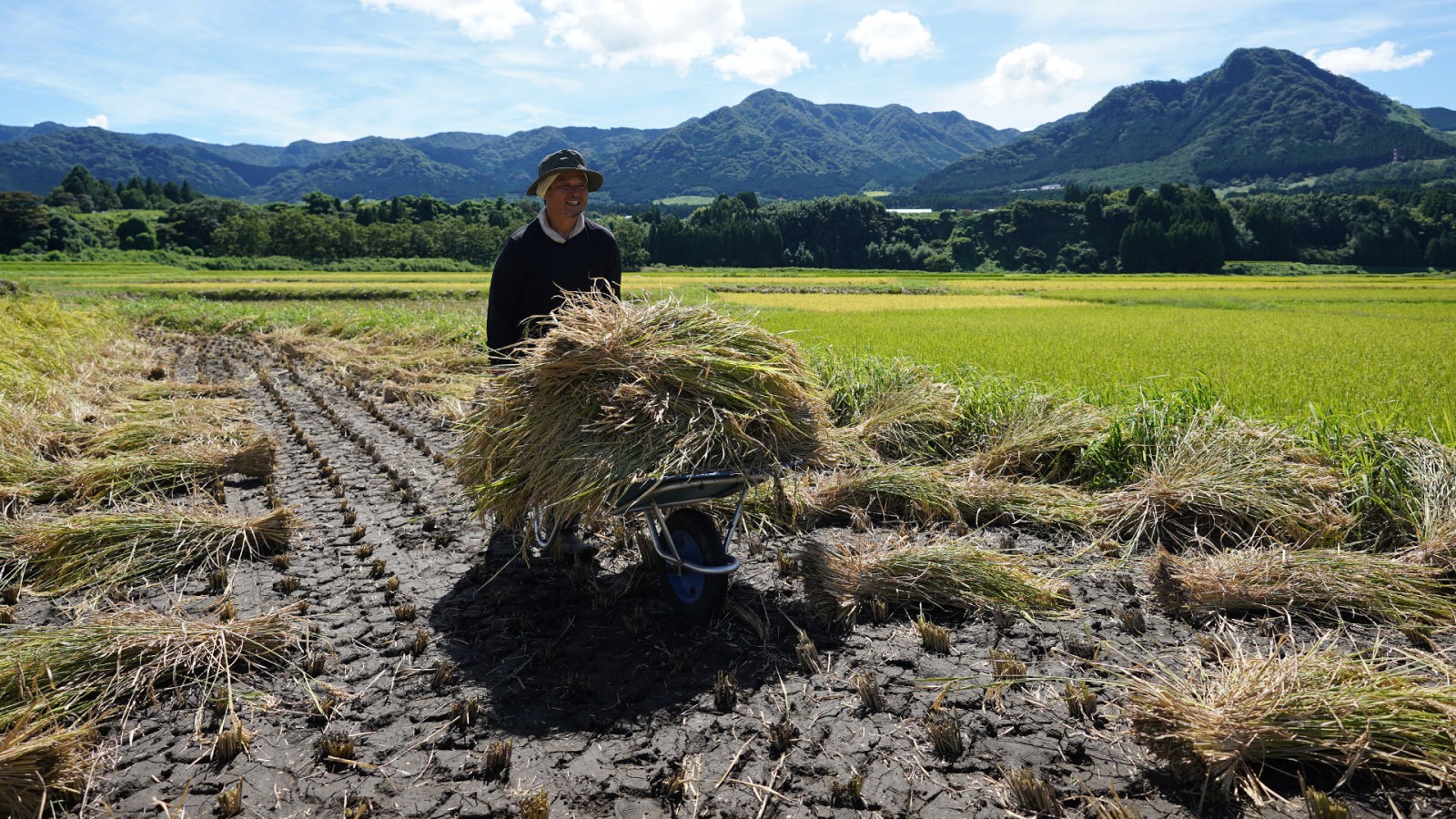 令和7年度産 大森博さんのお米
