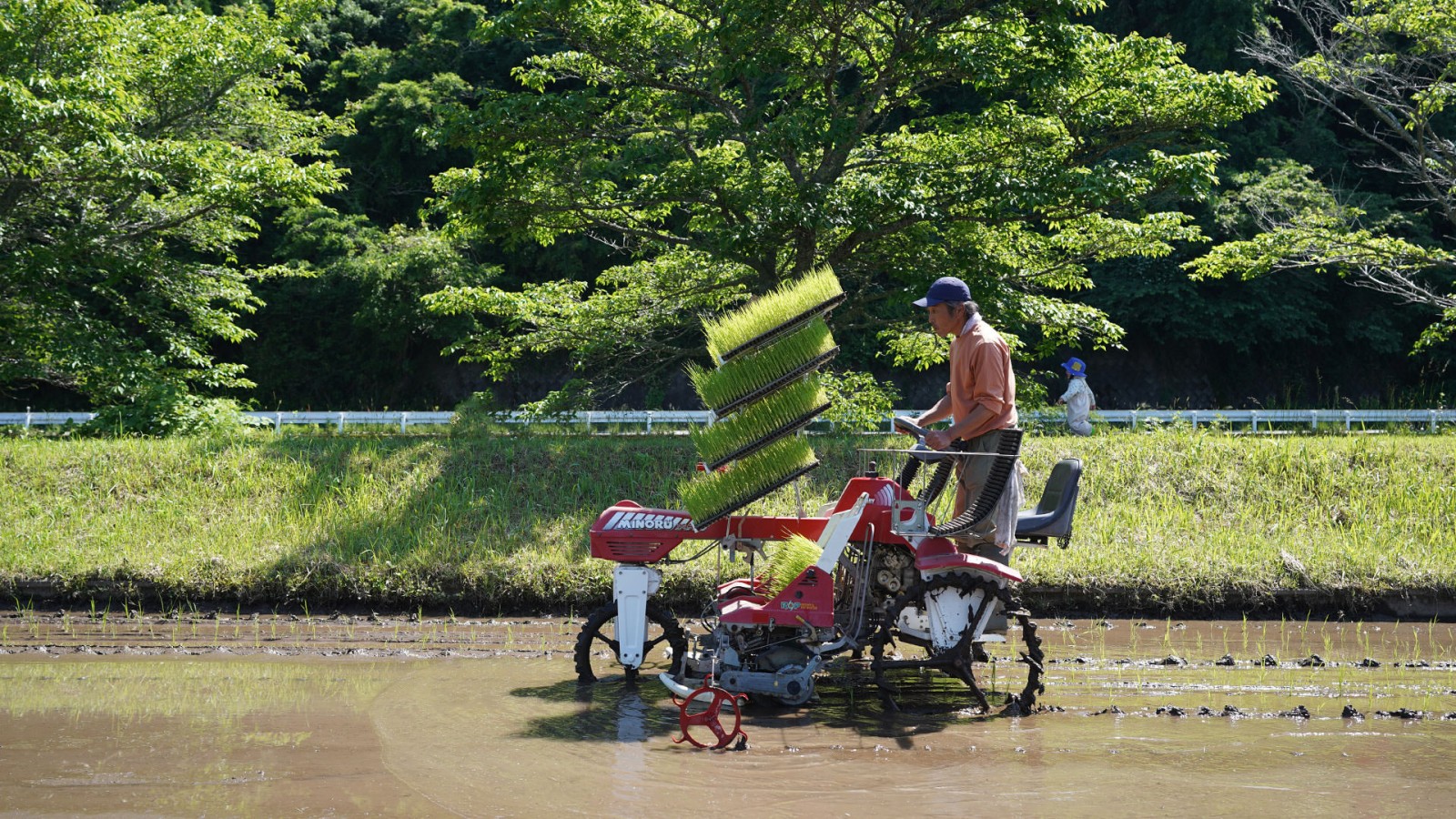 令和7年度産 須古真さんのお米