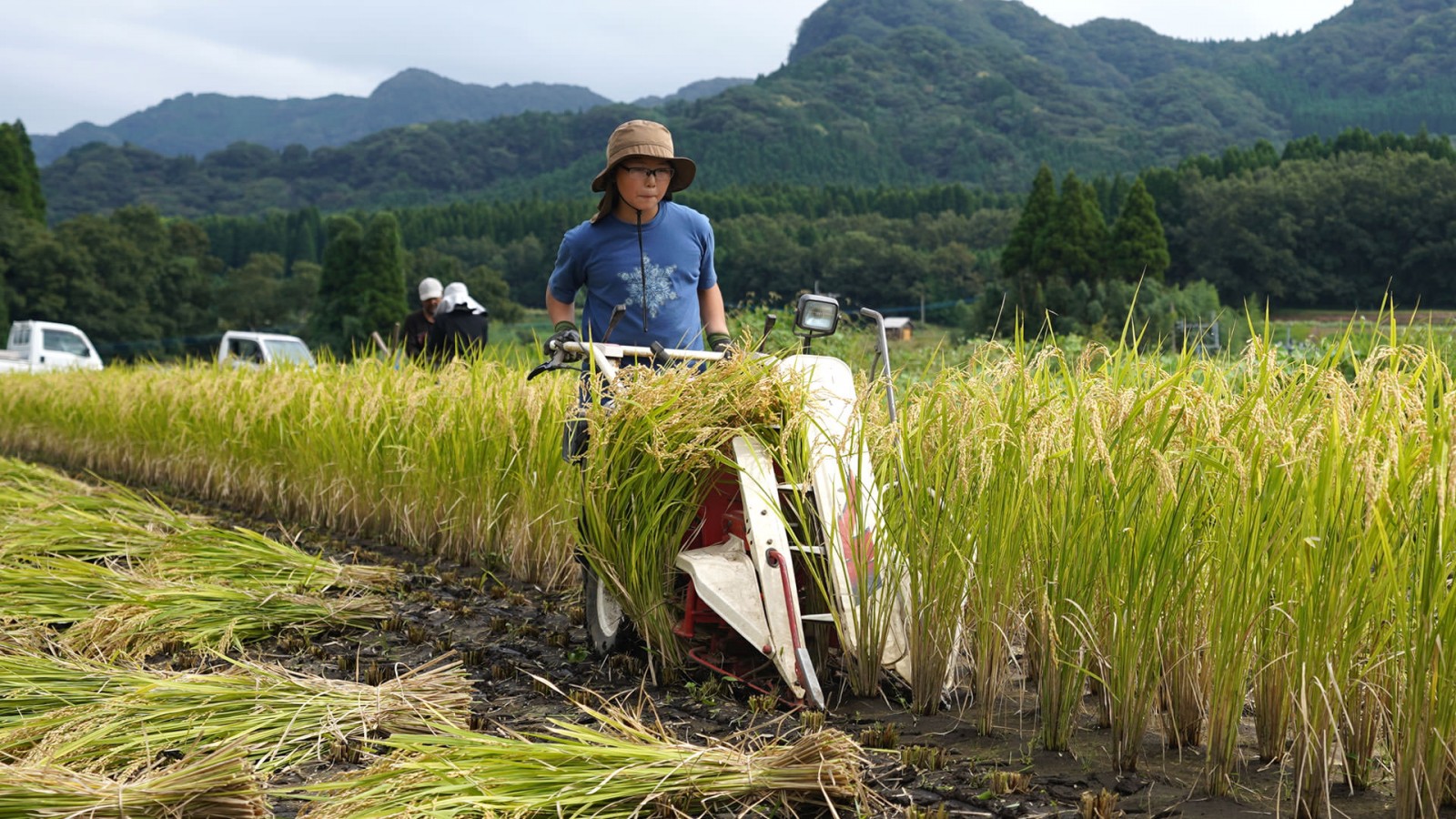 令和7年度産 Chawal農園のお米