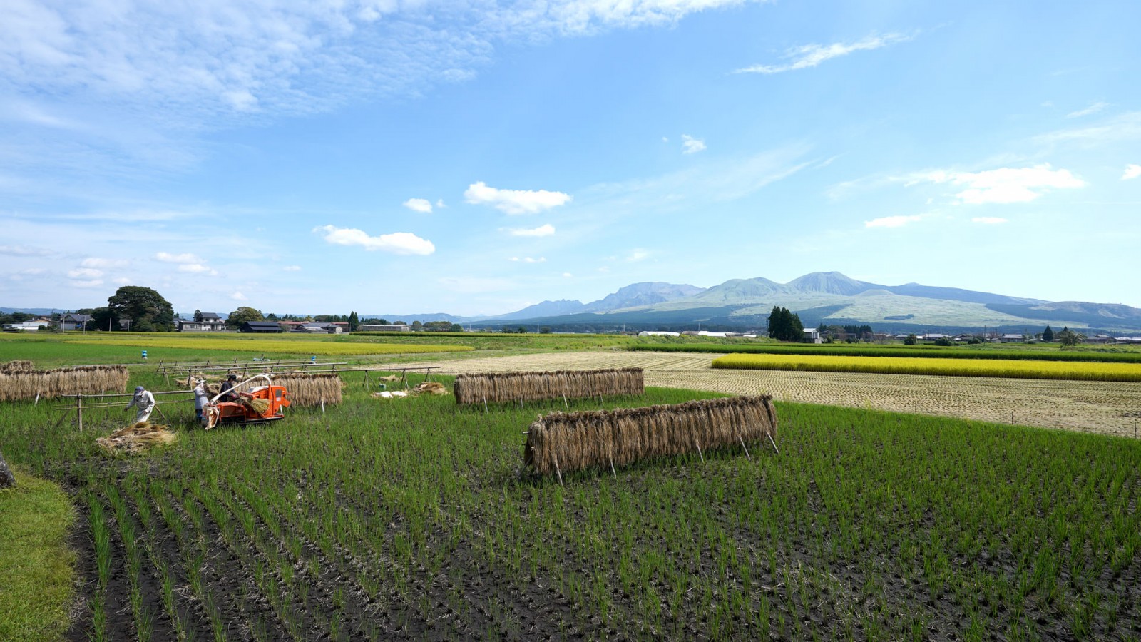 令和7年度産 荒井弘さんの掛け干し米