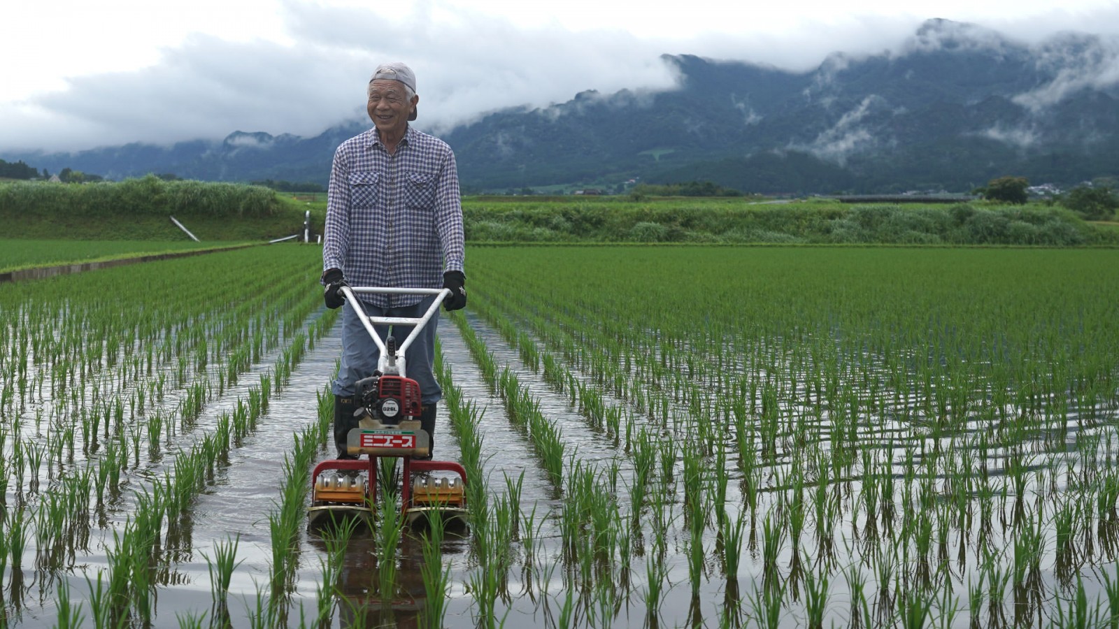 令和7年度産 荒牧武治さんのお米