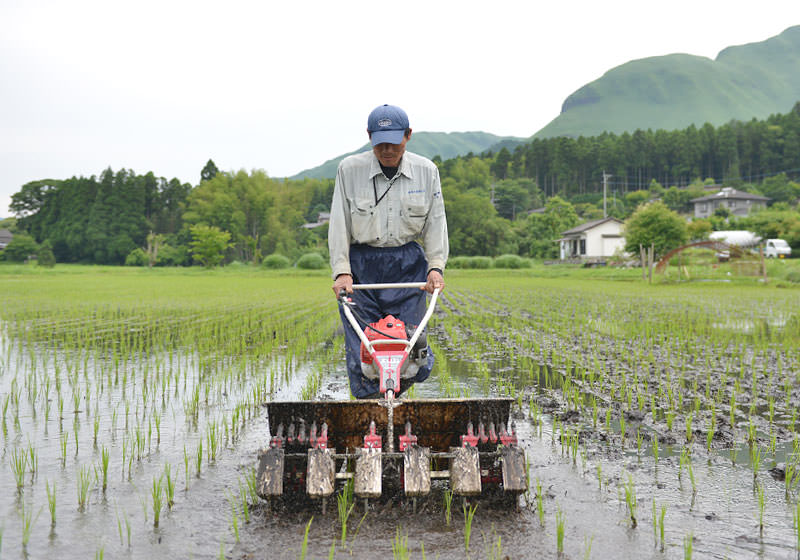 水の豊富な阿蘇では農業用水のほとんどが地下水。火山灰土壌と並ぶ、美味しい米ができる源だ。
