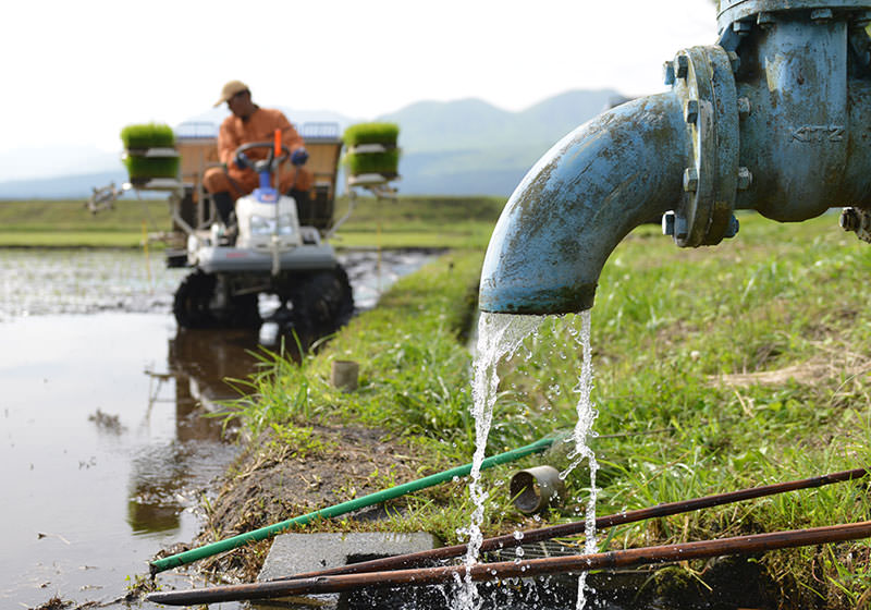 水の豊富な阿蘇では農業用水のほとんどが地下水。火山灰土壌と並ぶ、美味しい米ができる源だ。