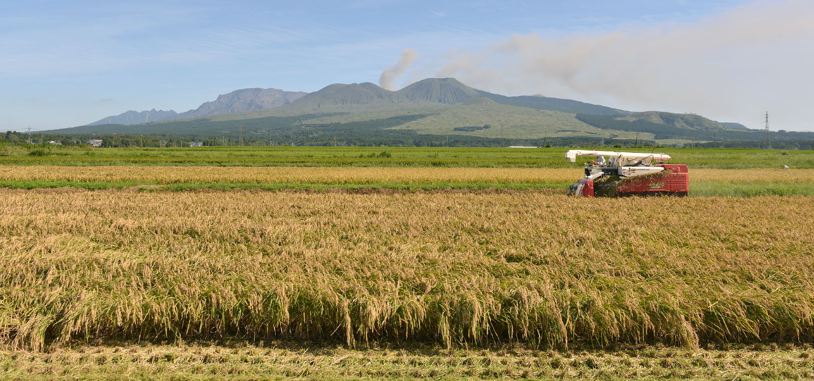 令和元年度、熊本阿蘇産。ASO北外輪ファームが作る自然栽培米。
