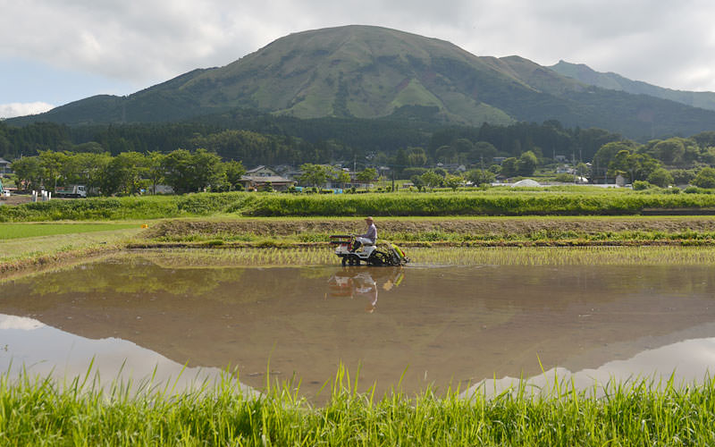 雄大な阿蘇山を背景にゆっくりと田植え