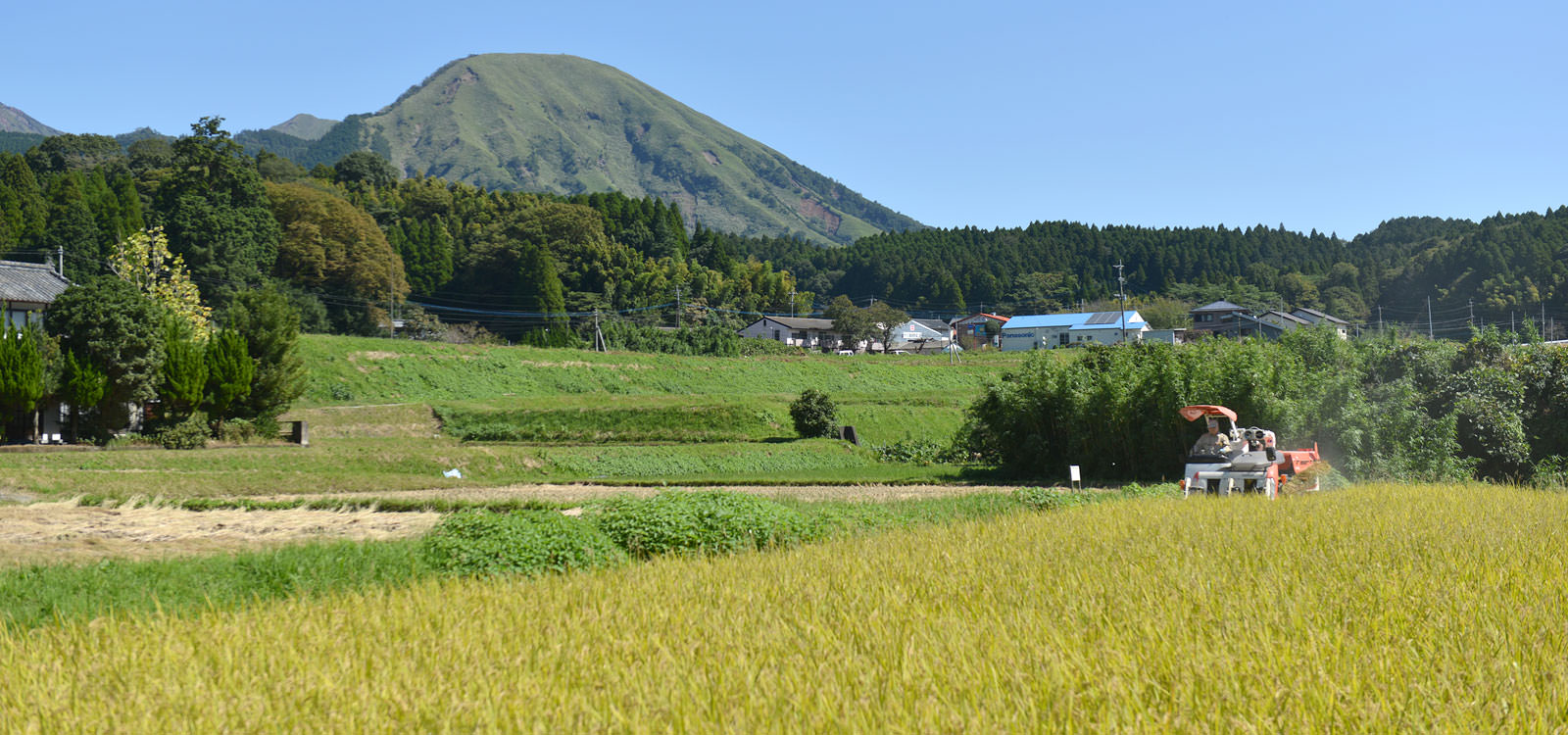 北野悦之さんが作る、無農薬・無施肥栽培のお米。