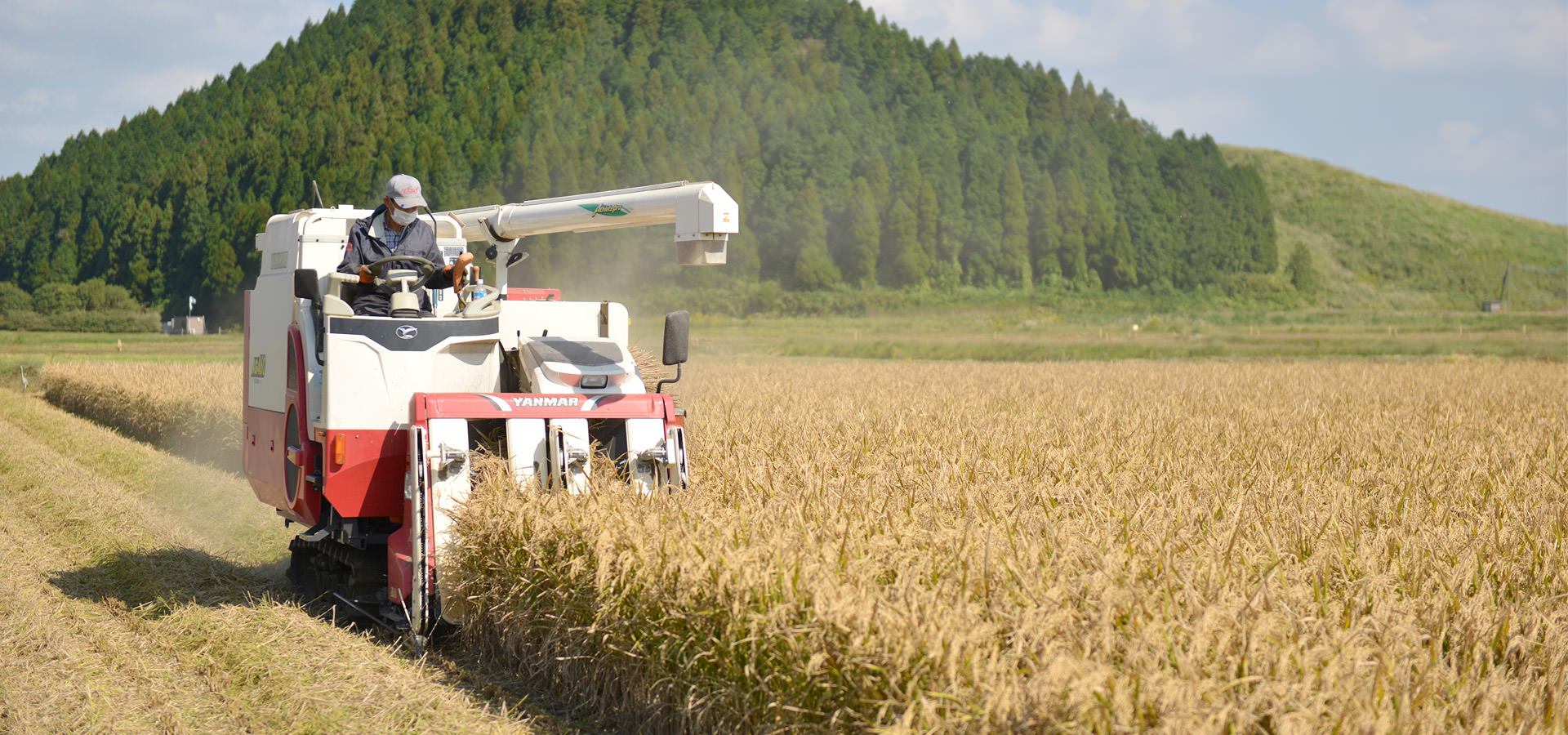 令和2年度、熊本阿蘇産。ASO北外輪ファームが作る有機栽培米。