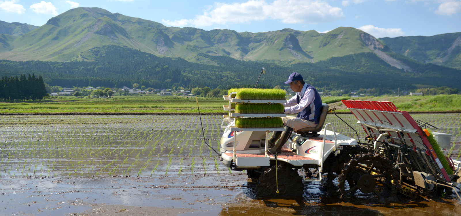 ASO北外輪ファームの田植え