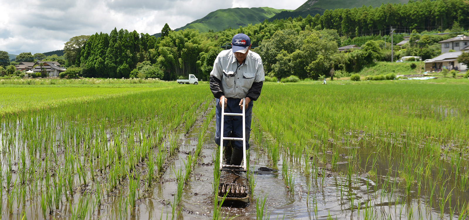ASO北外輪ファームの除草