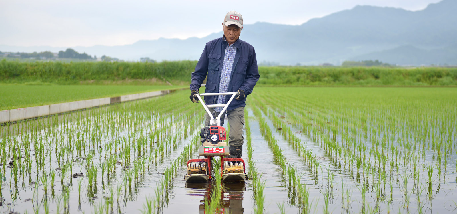 荒牧武治さんが作る、無農薬・無施肥栽培のお米。