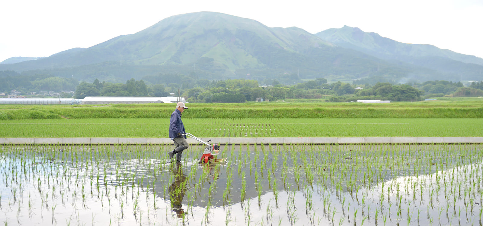除草機をかける荒牧さん。