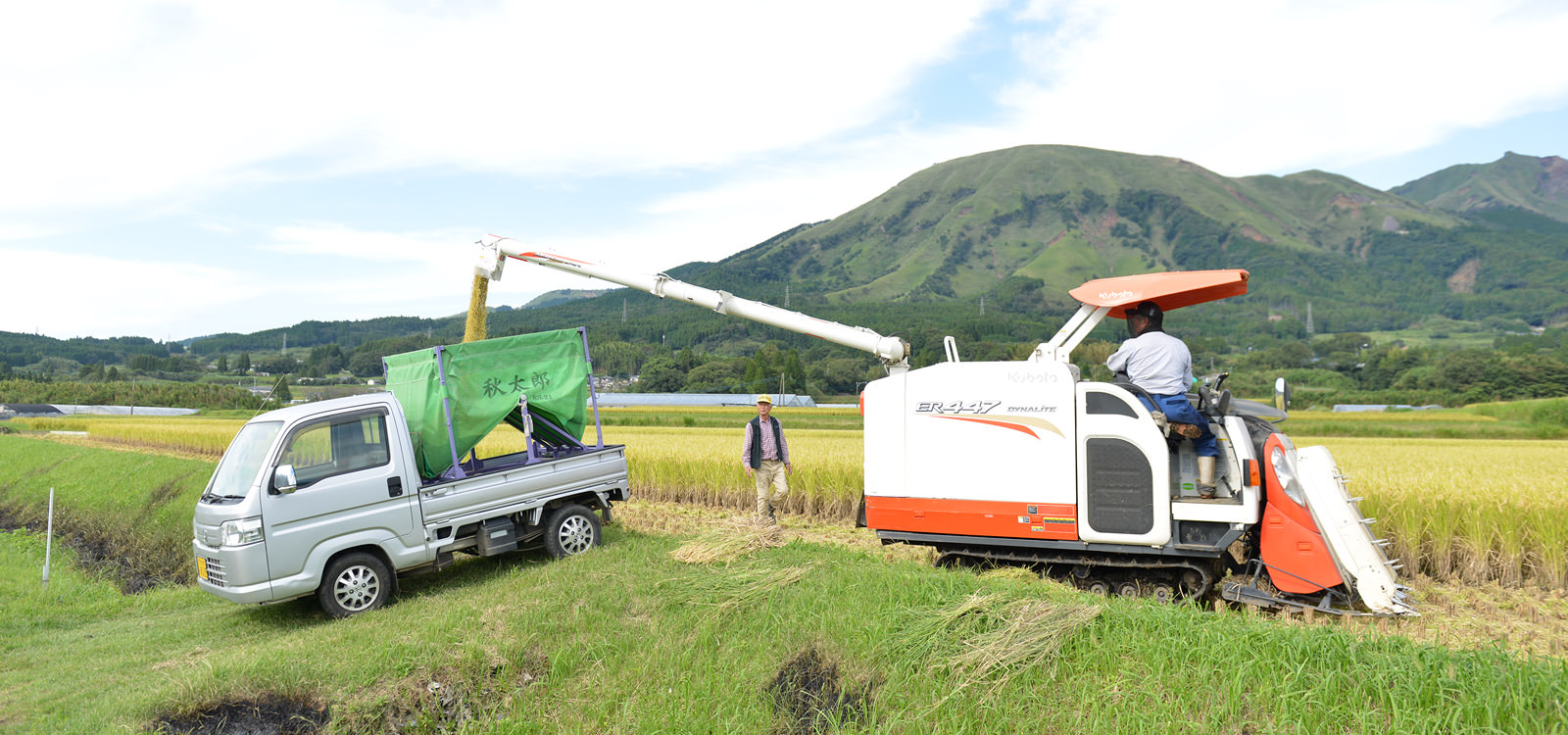 収穫した籾をコンテナに移す。