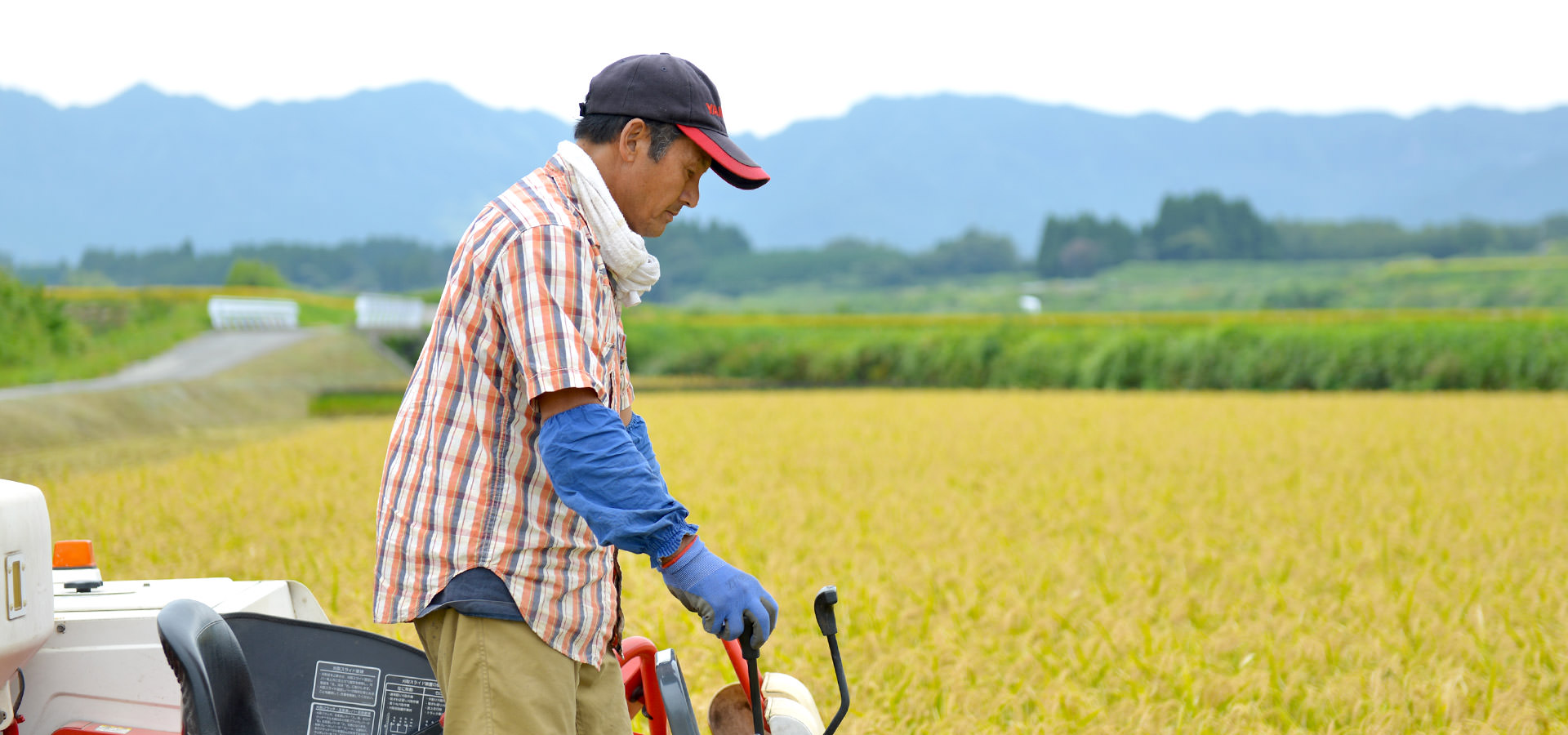 宇都宮政志さんが作る、無農薬・無施肥栽培のお米。