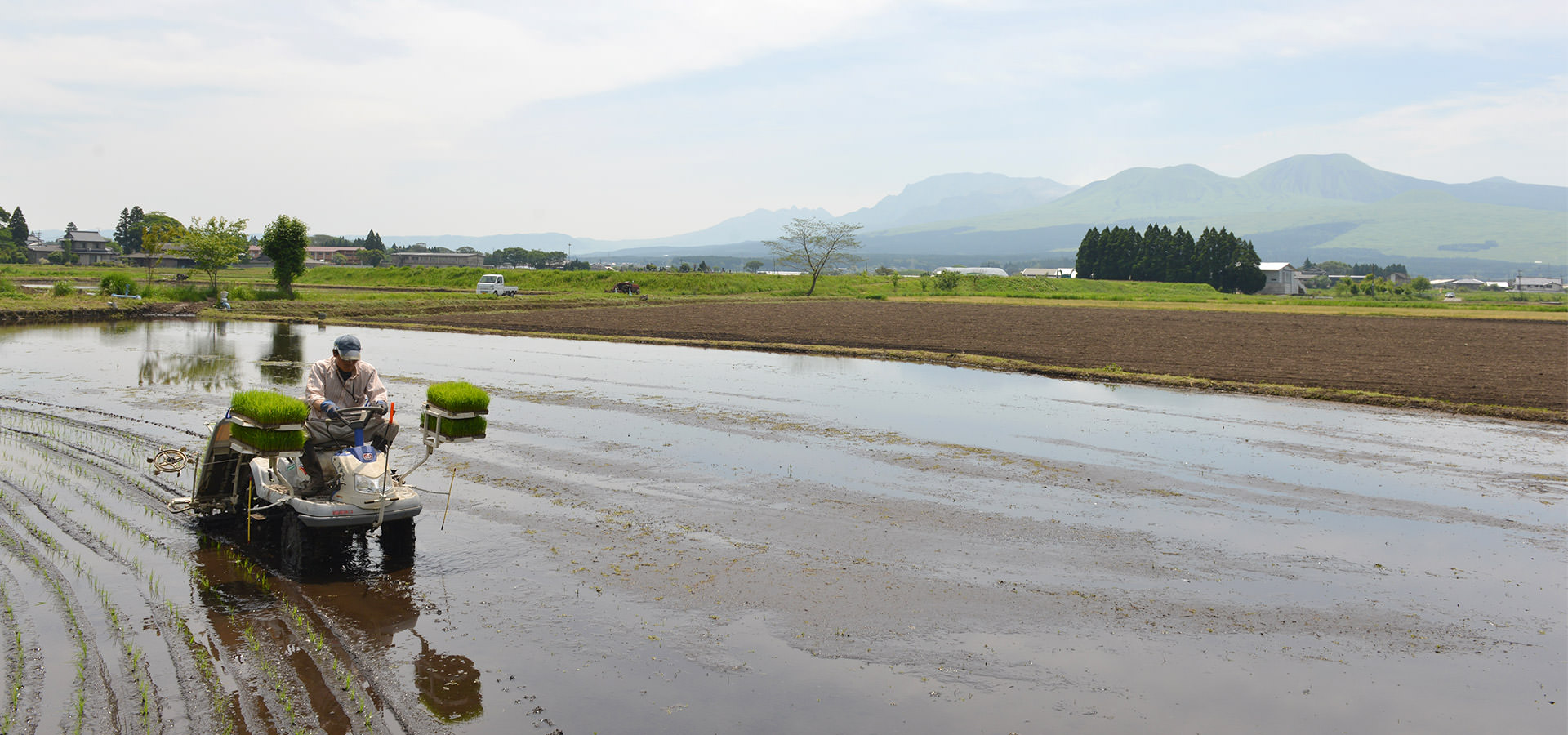 阿蘇北外輪ファームが作る、無農薬・無化学肥料栽培米。
