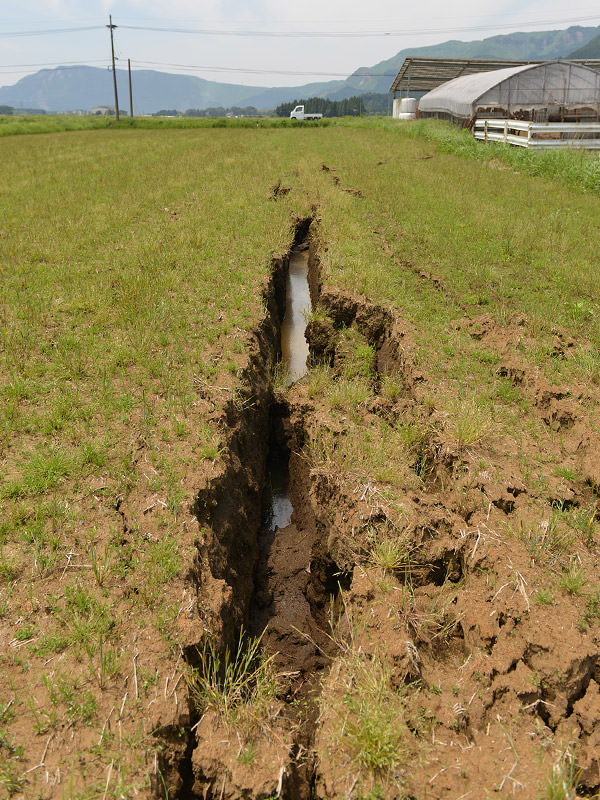 地割れした圃場。