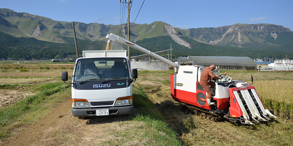 籾をグレンタンクに移す坂梨さん。