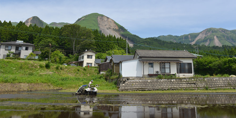 荒井弘さんの田植え