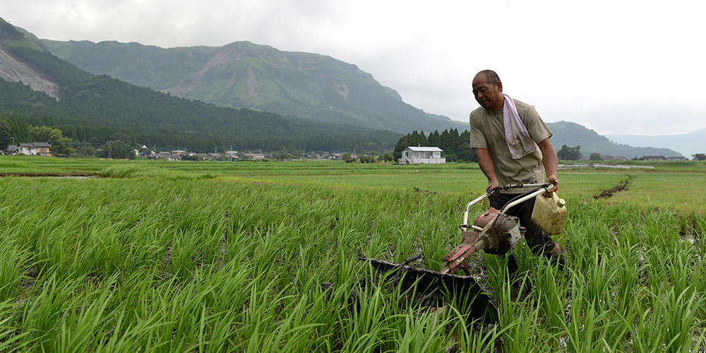 除草する鎌倉さんのお手伝いの方。