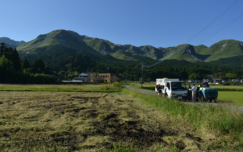 稲刈りが終わった圃場。