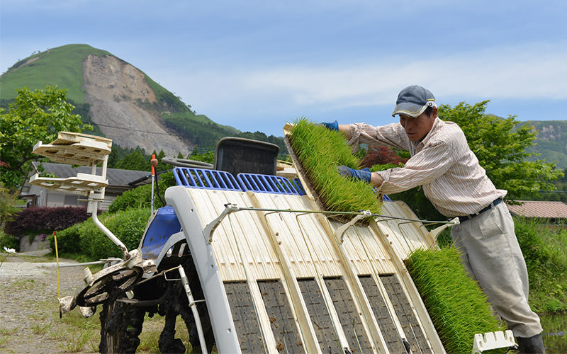 背後の山は大きな土砂崩れが起きているy。