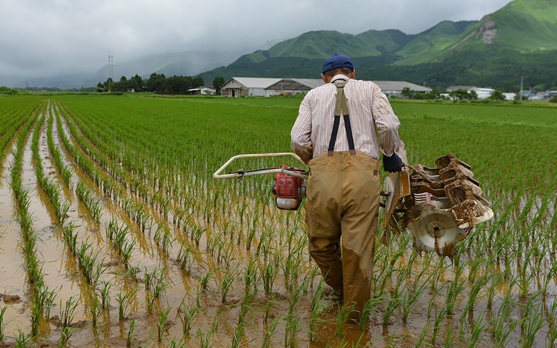 除草機を持ち上げてターンする。