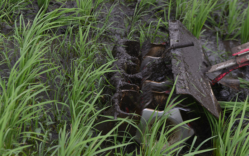 不揃いの列を苦労して除草する。