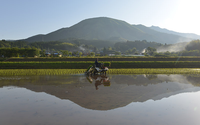 後ろにそびえる夜峰山には多くの亀裂が入る
