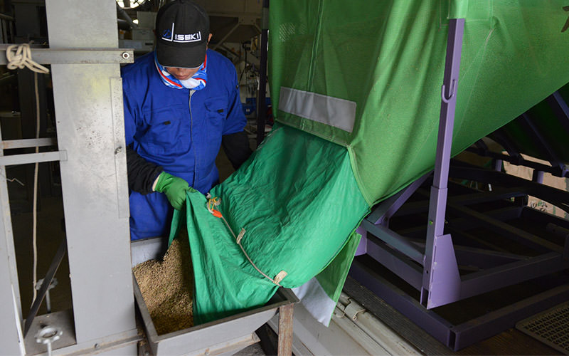 運んだ籾は乾燥機に移す。