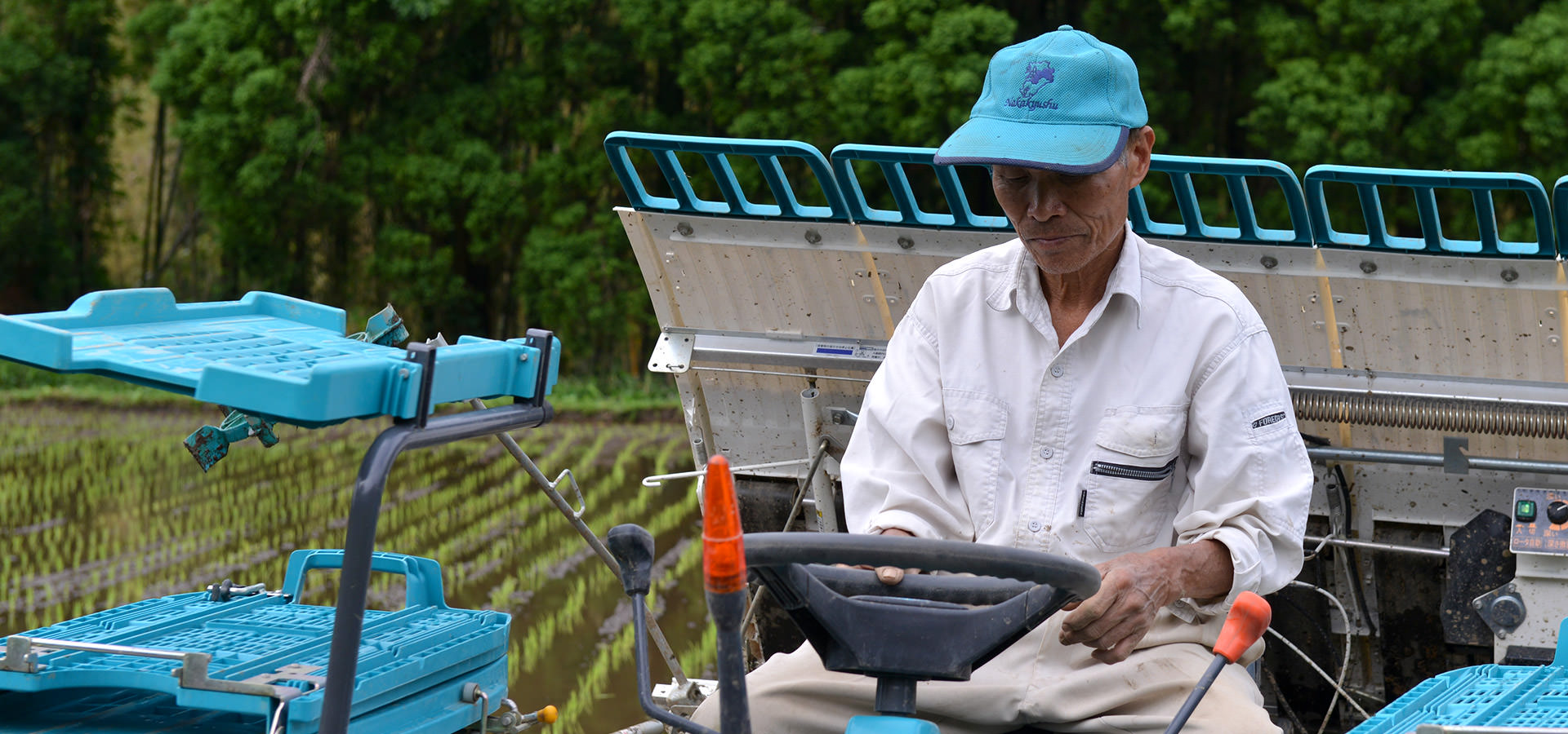 藤原勝義さんが作る、無農薬・無施肥栽培のお米