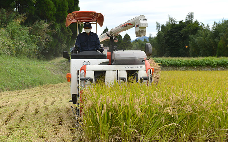 コンバインを操作するのは息子の浩二さん。