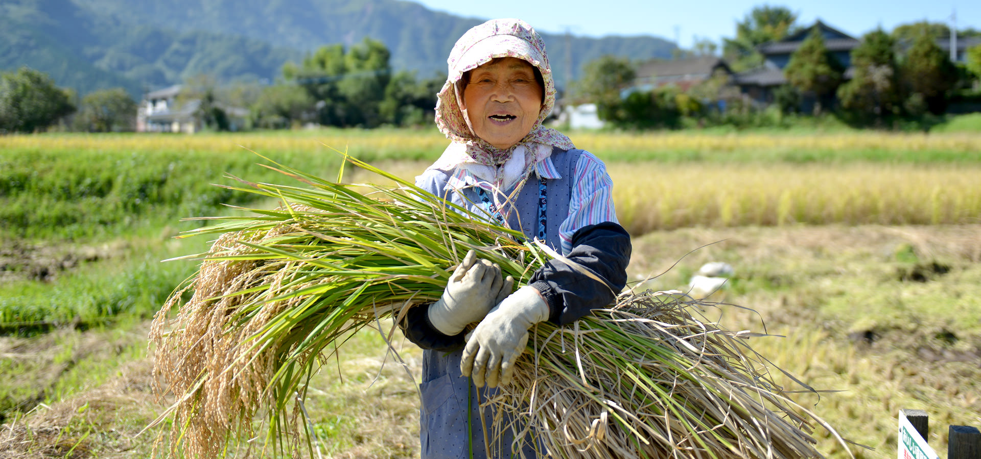 後藤松子さんが作る、無農薬・無化学肥料栽培のお米
