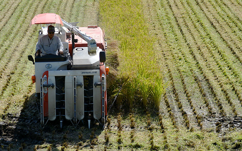 コンバインを操作するのは北野悦之さん。