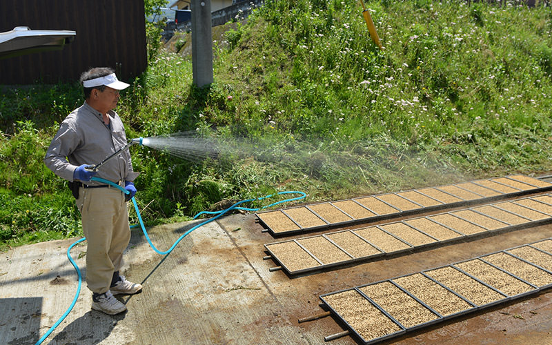 水をたっぷりと冠水させる。