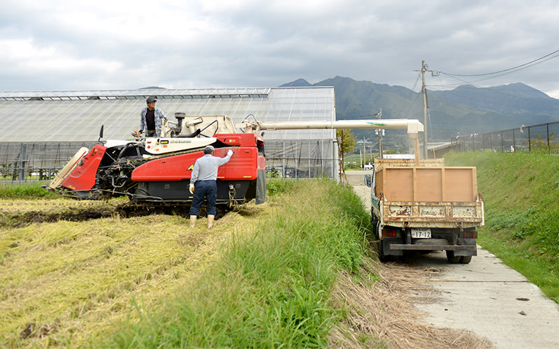 籾運びもお願いしているご様子。