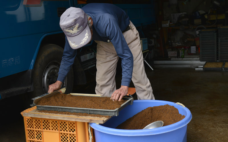 種まきを行う北野鉄矢さん。