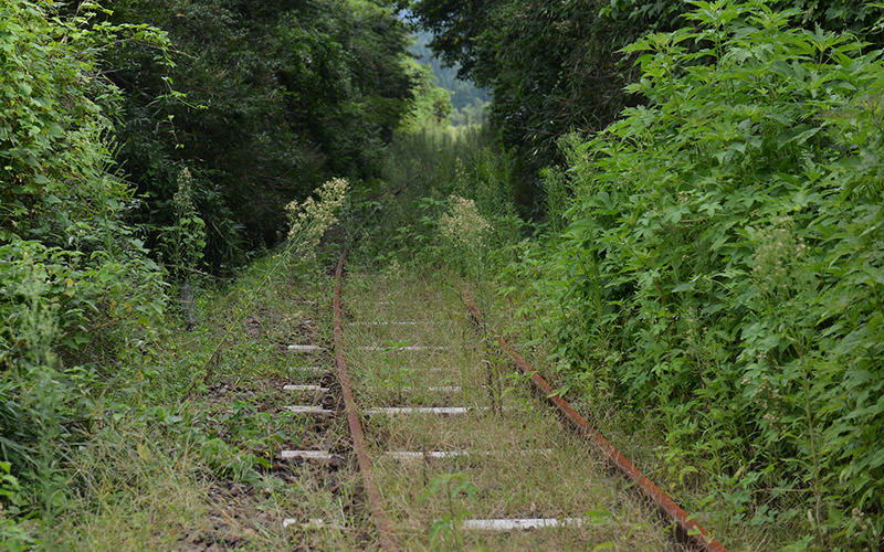 まるで廃線になったかのような南阿蘇鉄道の線路。
