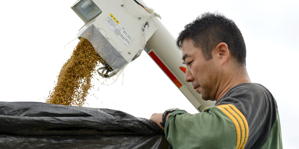 排出される籾を見る毛利さん