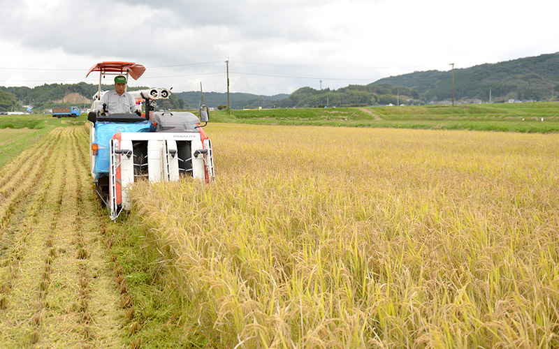 北野悦之さんがコンバインを操作。