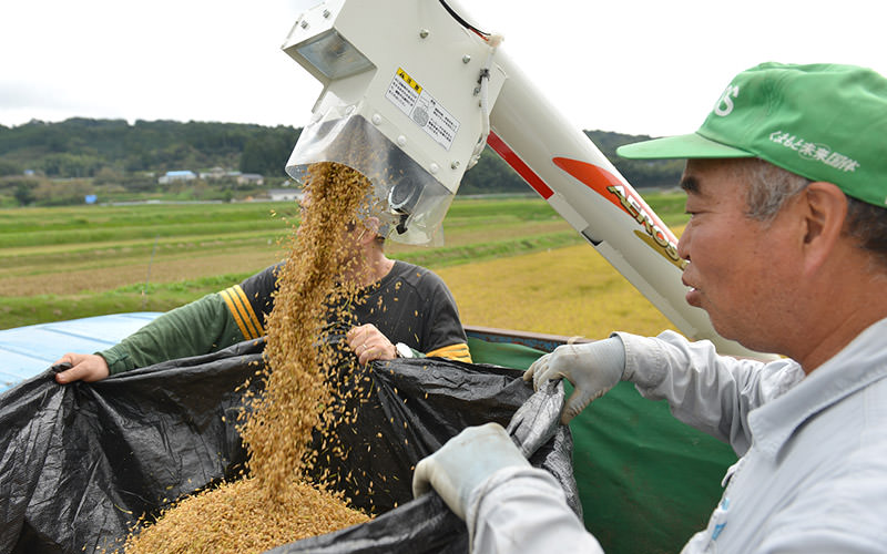 籾を見る北野悦之さん。