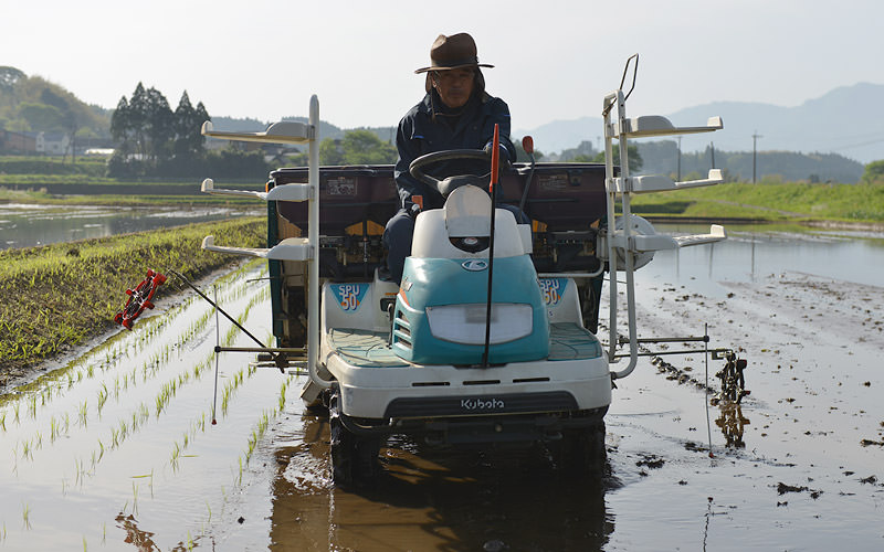 田植え中の長野さん。