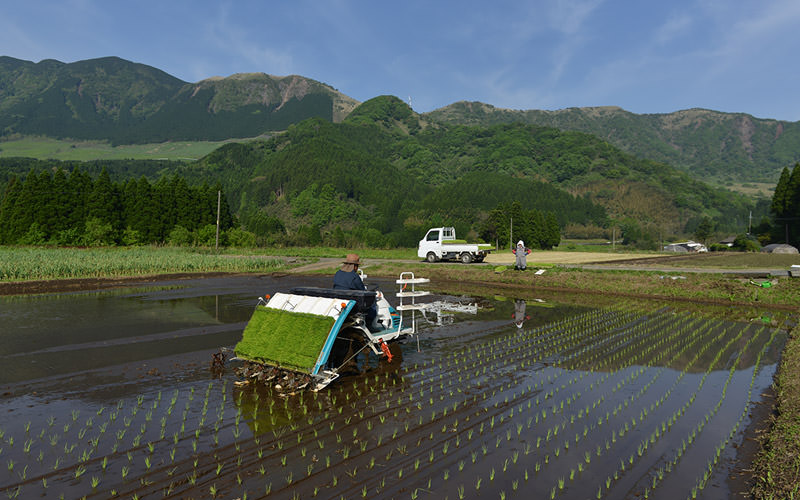 田植えする長野さんとそれを眺める奥さん。