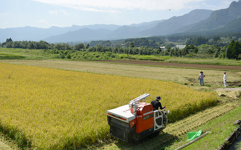 2時間ほどで稲刈りは終わった。