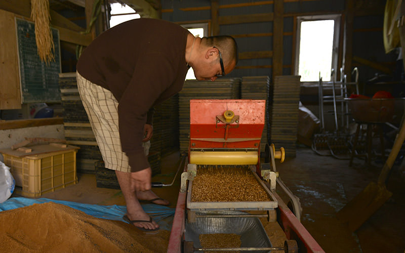 種まきを行う。