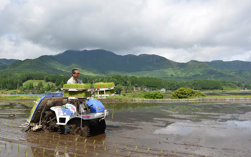 まっすぐした視線で田植え機を操縦する。