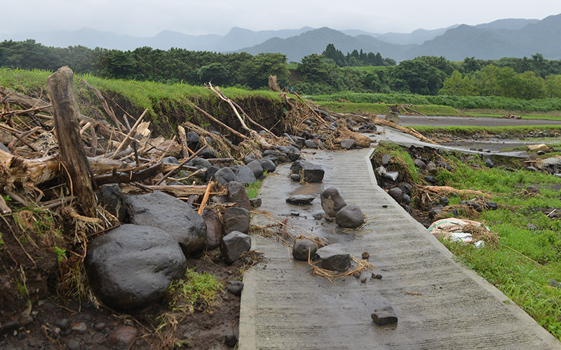 道は流木や石で塞がれていた。