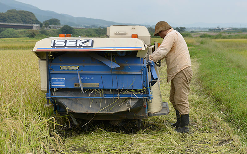 籾袋がいっぱいに溜まったら袋を交換する。