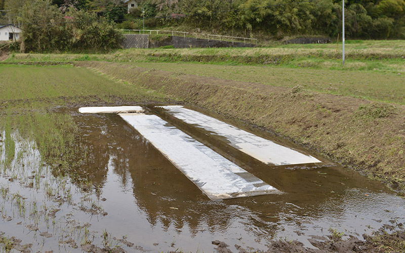 ラブシートをベタ掛け。