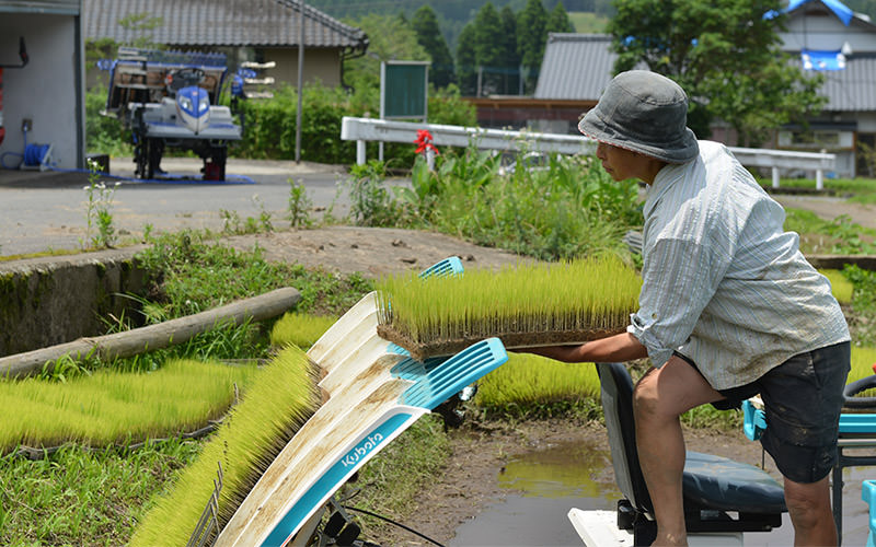 田植え機に苗を補給。