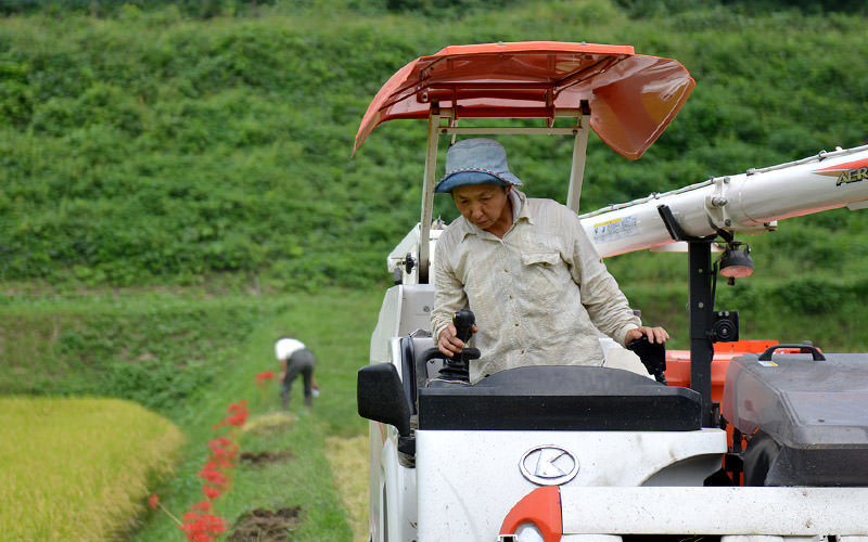 慎重にコンバインを操作する高島さん。